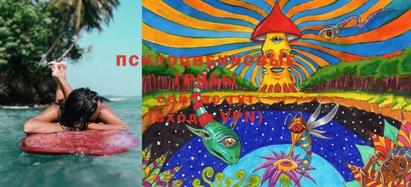 Альфа ПВП Сосновый Бор