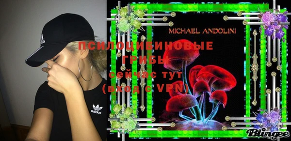 индика Сосновка