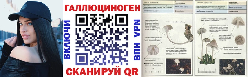 Галлюциногенные грибы GOLDEN TEACHER  Купить где  Александровское 